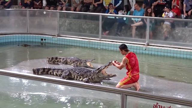 Паттайя. Парк камней и крокодиловая ферма. Шоу с крокодилами. смотреть онлайн