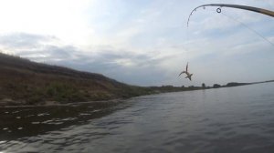 вечерняя рыбалка троллингом на оке, судак выходи......