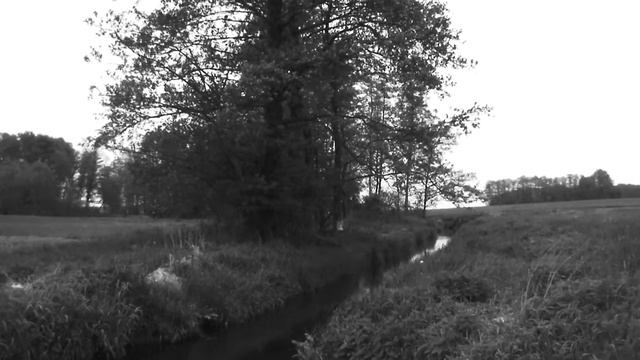 Samsung HMX-QF20 - Czerń/Biel смотреть онлайн