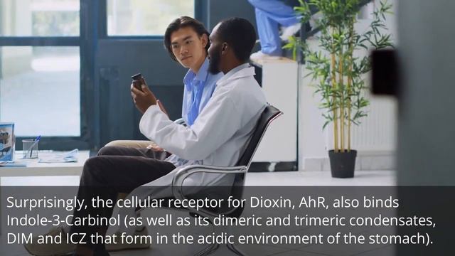 [Health News] Dioxin, Immunity and Indole-3-Carbinol смотреть онлайн