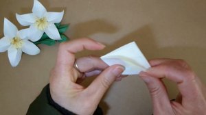 Origami Vanilla Flower /5-petal Flower 折纸香草花 (V2)