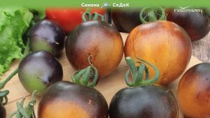 Цветные томаты из цветных и огненных галактик!