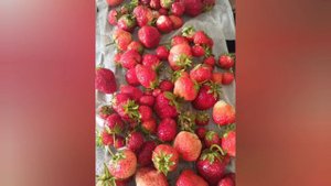 я так хочу чтобы лето не кончалось