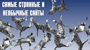Самые странные сайты, которые не имеют смысла