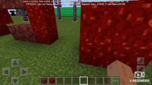 Что круче камень нижнего мира vs нарост нижниго мира в Майнкрафте?