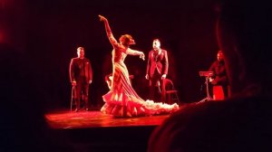 Authentic Flamenco in DC | October 14, 2022