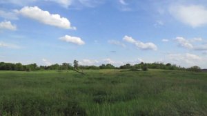 Опустевшая деревня Агишевка, Аткарский район.