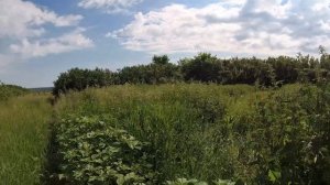 СЕЛО ГРАНКИ ПЕНЗЕНСКОЙ ОБЛАСТИ