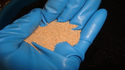 ЭТОТ ЭЛЕМЕНТ ПИТАНИЯ СДЕЛАЕТ РАССАДУ КРЕПКОЙ И УСТОЙЧИВОЙ К ЗАБОЛЕВАНИЯМ . ЗЕМЛЯ ДЛЯ РАССАДЫ.