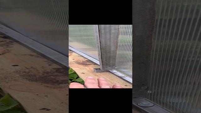 Прямостенная теплица смотреть онлайн