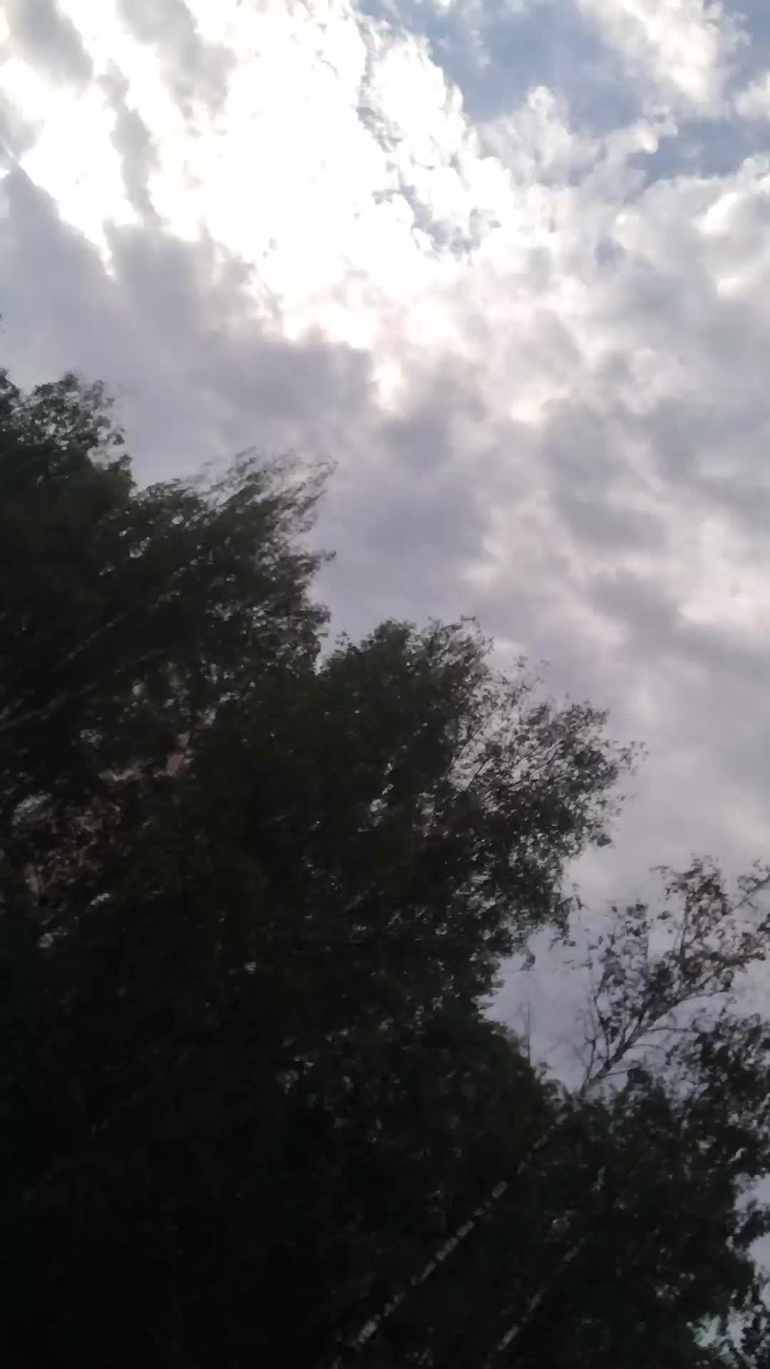 прямой эфир