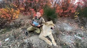 Новая напасть в Парке львов 'Тайган '!