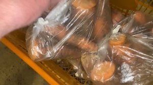 Результат хранения морковки в пакетах спустя 11 месяцев