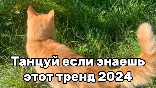 🚀🤩Танцуй если знаешь этот тренд💖🍫Тренды 2024года🚀🤩