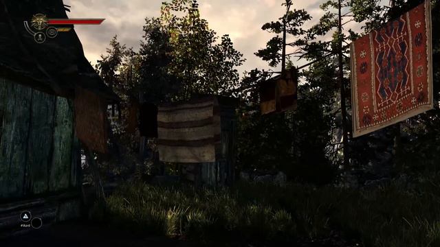 The Witcher: Lykaon - Old first person test