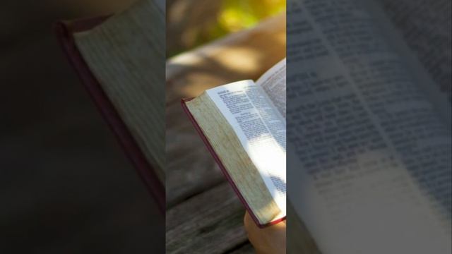 Библия 📖 Интересные факты. 14.ГОНЕНИЯ  #библия