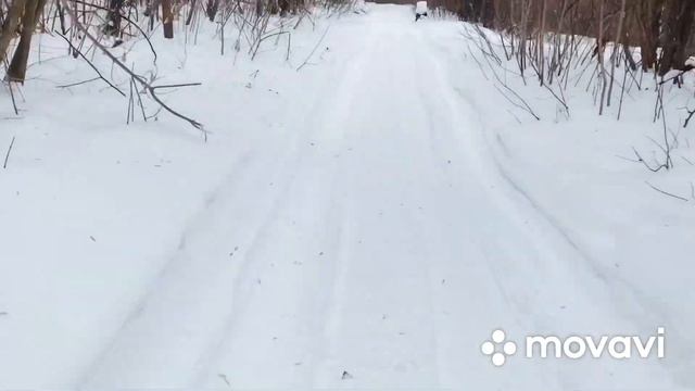 Прокат, аренда квадроциклов wild track 200. Адреналин152