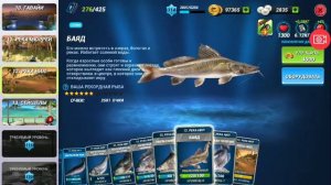 Fishing Clash рыбалка    Получение приманок Повышение уровня 115