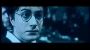 Год Змеи - Гарри Поттер