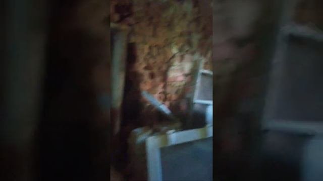 Продажа дом п.Домново