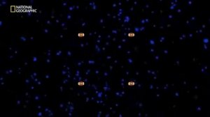 Игры разума Эпизод 1 - Фокус-покус / Focus Pocus