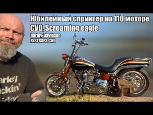 Юбилейный спрингер на 110 моторе. CVO, screaming eagle. Harley-Davidson FXSTSSE3 CVO