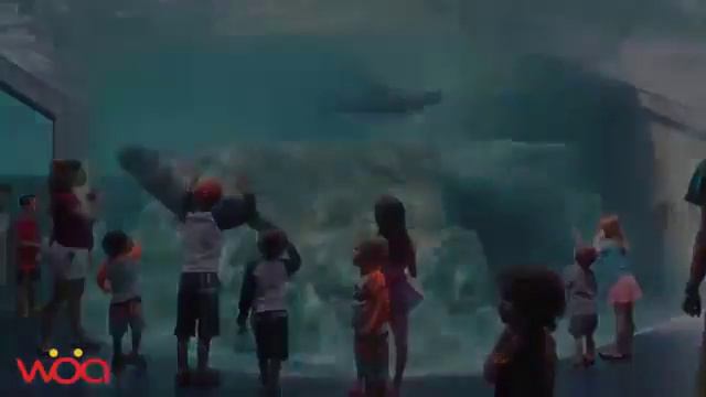 Erstaunlich Seelöwe im Ozean