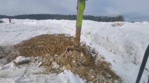 ZOOMLION ZE245E вопросов больше чем ответов, честный отзыв.