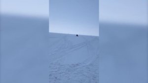 ПОКАТУШКИ на СНЕГОХОДЕ по БЕЛОМУ ОЗЕРУ. г.Белозерск