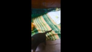 КАК НАУЧИТЬ ЩЕНКА ОВЧАРКИ ПРОЯВЛЯТЬ ХАРАКТЕР И ГАВКАТЬ