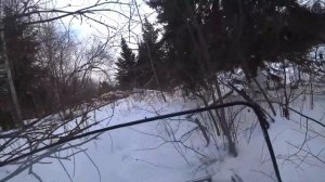 Из мотособаки в мототолкач!Едем по болоту и глубокому снегу.Мотобуксировщик Ураган Тайга на склизах