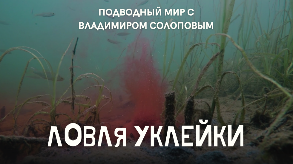 Ловля уклейки \ Подводный мир с Владимиром Солоповым