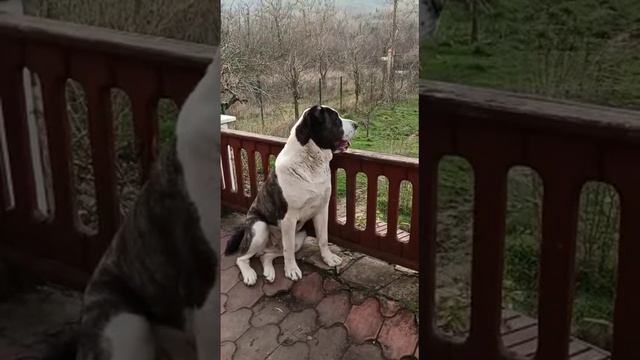 27 июня 2023 г. смотреть онлайн