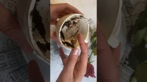 Гадание на кофейной гуще на любовные отношения, гадание онлайн на отношения ????❤️❤️❤️