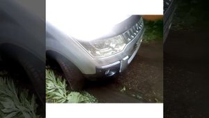 Делика Д5