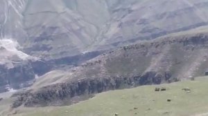 Дорога по другую сторону Ахалтинского ущелья Бузнаса нух , дорога предков.