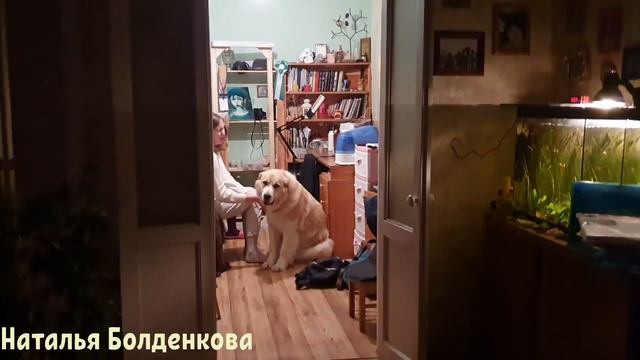 Вкусный завтрак и обед//Про Мэри//Про рога и глистов//и тЫ пЫ.... смотреть онлайн