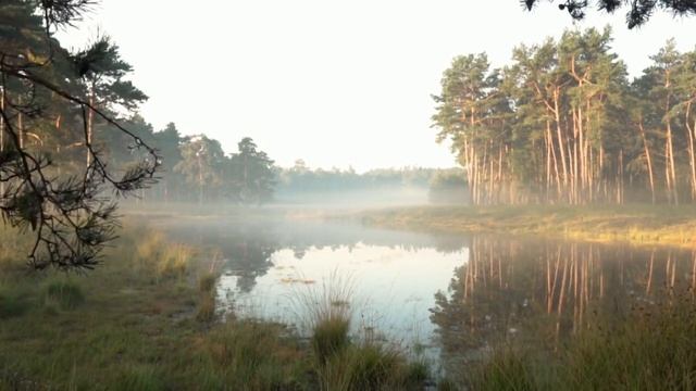 Музыка для пробуждения