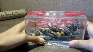 Обещанное,долгожданное видео про богомола Как содержать Богомола ДОМА.