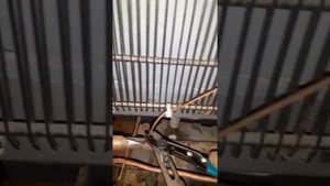 Ремонт холодильника бирюса 133