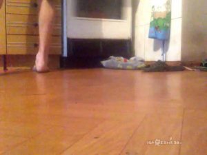 Supersonic cat / Кот вышел на сверхзвук