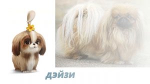 Тайная жизнь домашних животных 2 в Реальной Жизни!