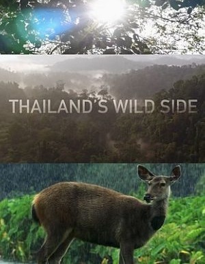 Дикие Места Таиланда/ Thailand'S Wild Side (2020)
(сезон: 01 серия: 02 - Брачные игры)