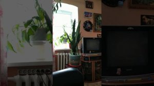 Марийская песня  шочмо мланде