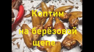 Горячее копчение крылышек на БЕРЁЗОВОЙ щепе.ЗАКОПТИМ.