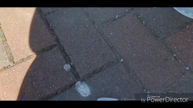 Весенняя рыбалка в Хельсинки. Салака