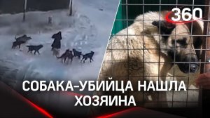 Альфа-самца отловили в Якутске. Гигантская собака терроризировала город, есть погибшие