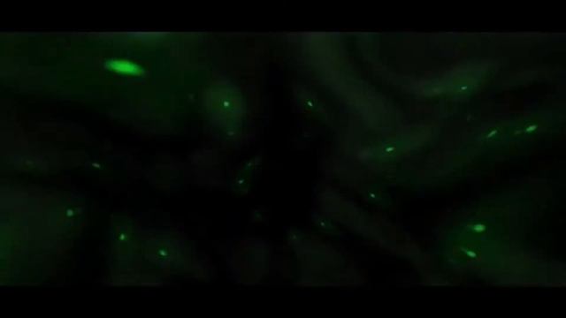 Сливаем фоны для интро