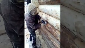шлифовка сруба