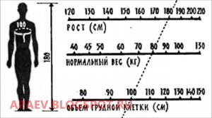 Таблица: нормальный вес при известном росте